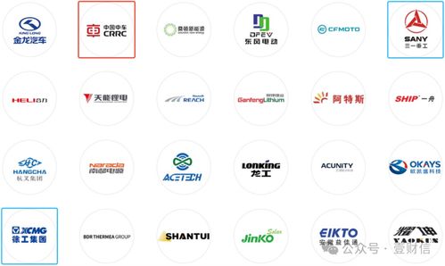 思客琦問(wèn)詢回復(fù)引質(zhì)疑 高管履歷披露存疑，信息咨詢服務(wù)成焦點(diǎn)