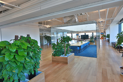 辦公室裝修設(shè)計(jì)從綠色環(huán)保開始_裝修知識(shí)_北京天元世紀(jì)裝飾工程設(shè)計(jì)有限公司