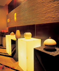 優(yōu)雅山房餐廳 產(chǎn)品展示 四川鼎悅裝飾公司 人人裝修網(wǎng)